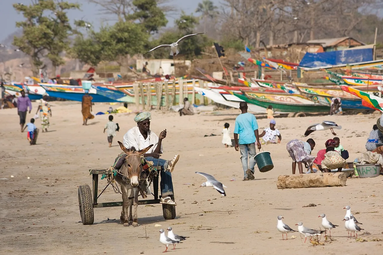 A donkey cart on the sand at Tanji Beach on the Gambian coast.