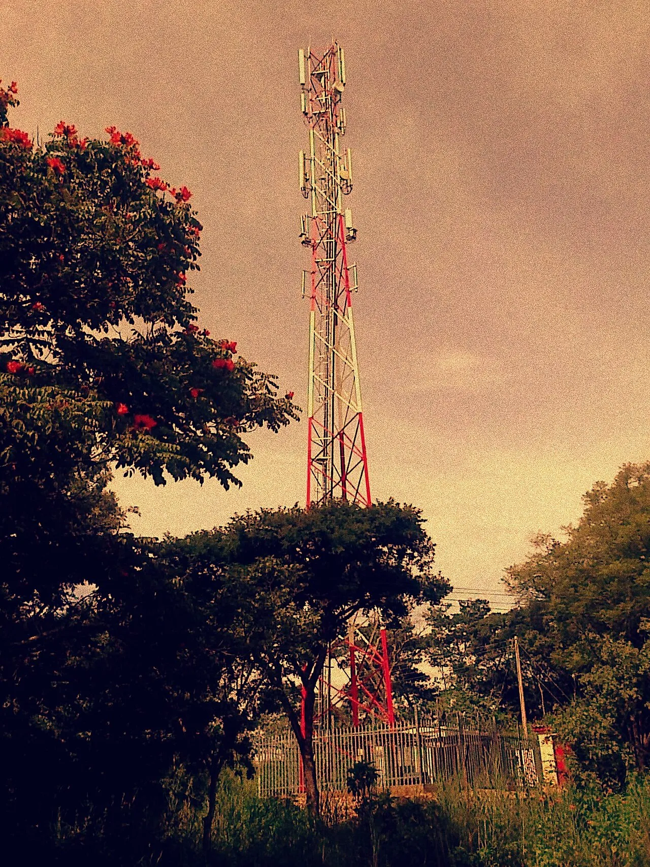 A mobile network signal booster for Econet Wireless, Zimbabwe's largest mobile operator.