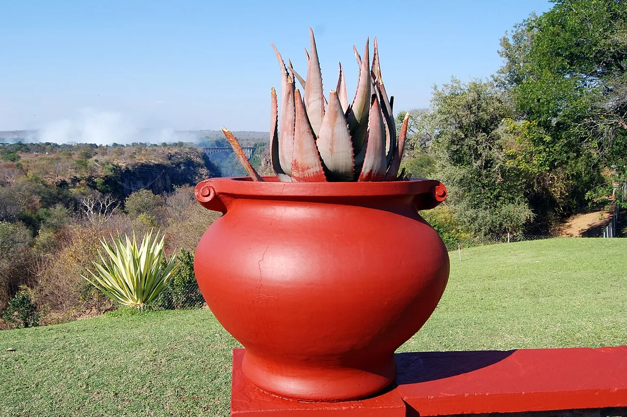The terrace and grounds of the historic Victoria Falls Hotel, overlooking the Second Gorge and the Victoria Falls Bridge.
