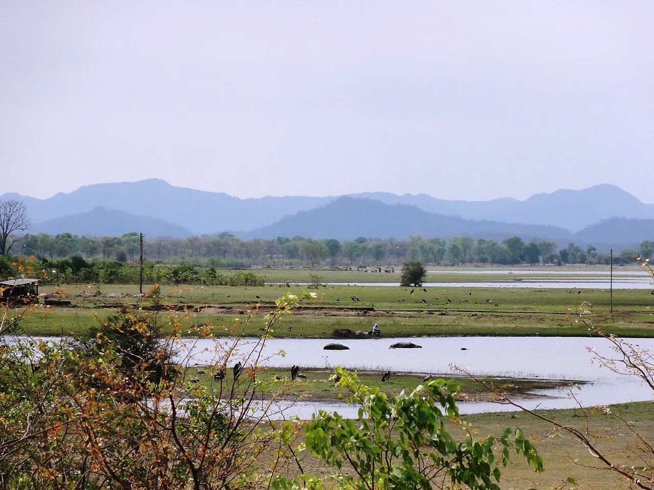 Lake Kariba near the town of Kariba, Zimbabwe, with hippos visible along the shoreline.