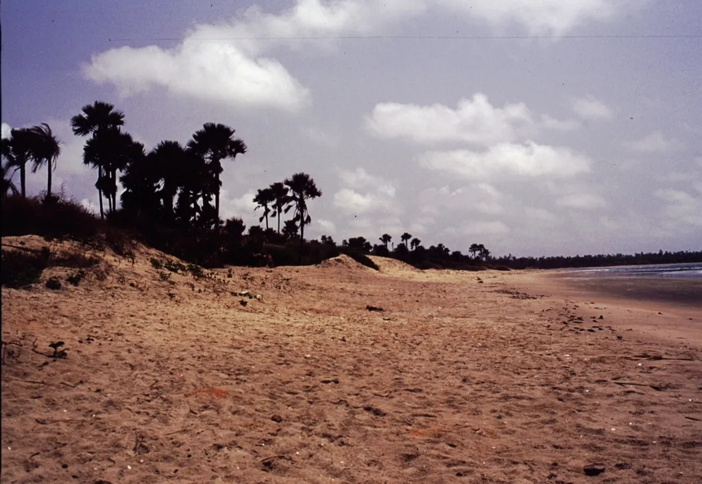 A quiet stretch of beach near Gunjur on the Gambian Atlantic coast, away from the tourist resorts.