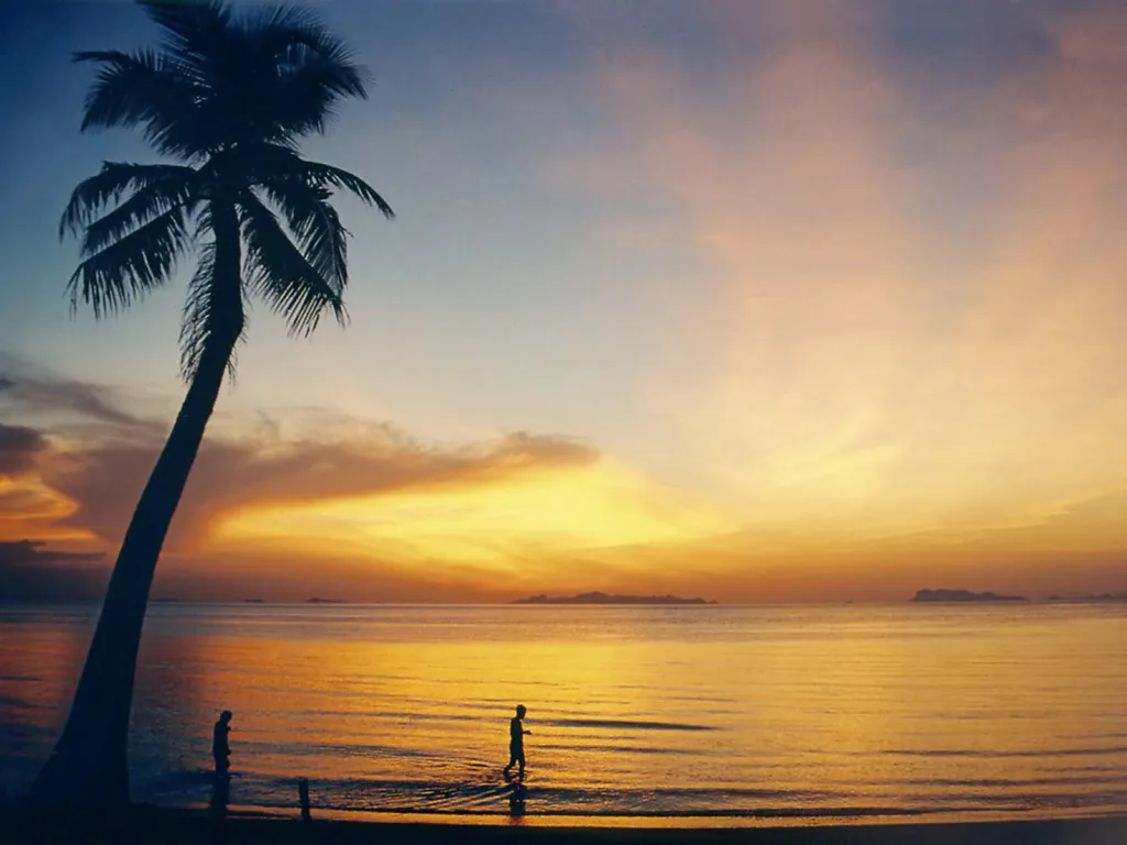 Lipa Noi Beach on Koh Samui at sunset, with a bent coconut palm and the Ang Thong islands on the horizon.