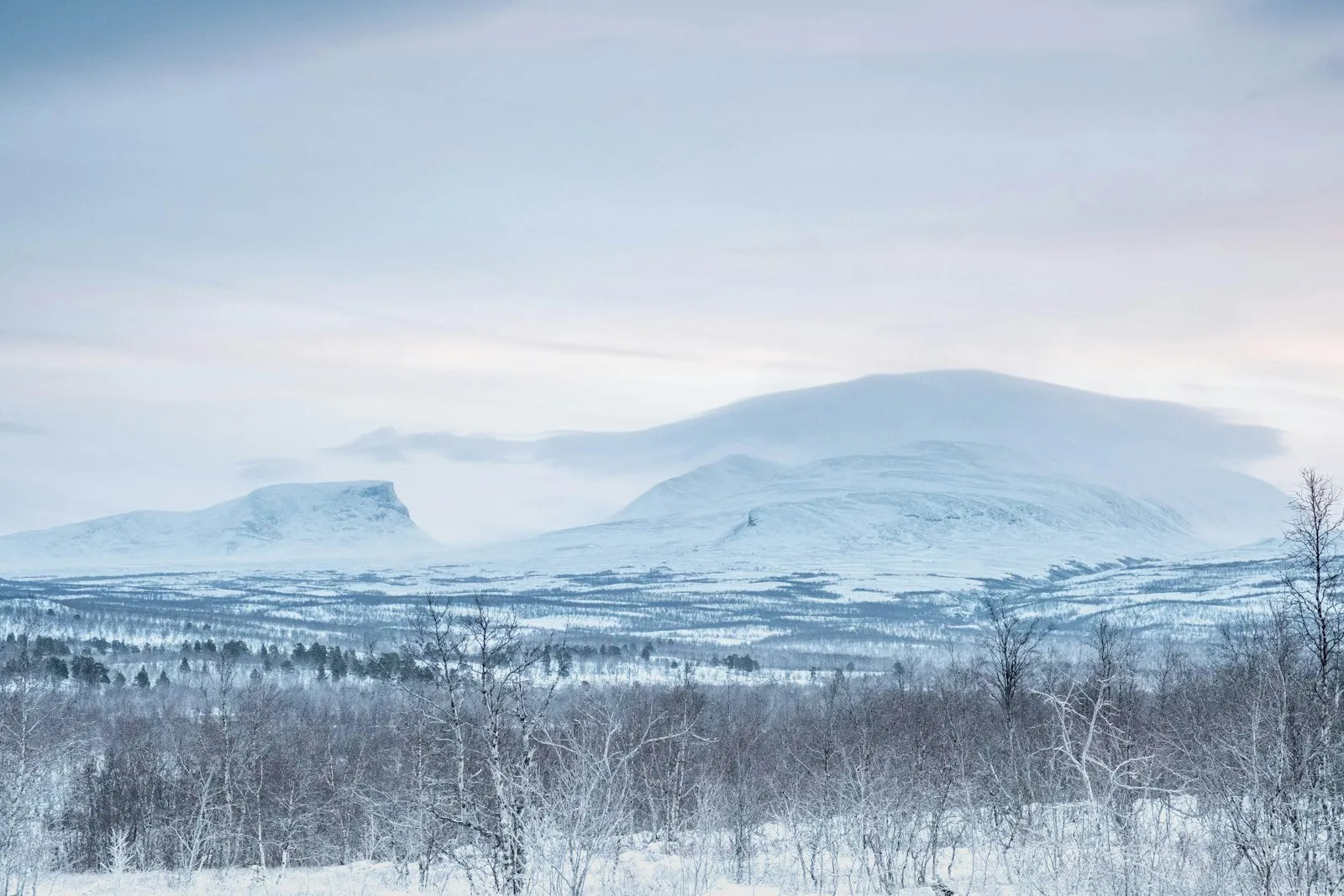 Snow-covered fells and a U-shaped mountain pass under a pale winter sky, with bare birch scrub in the foreground