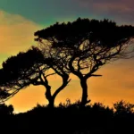 Cyprus - Tourism and travel highlights