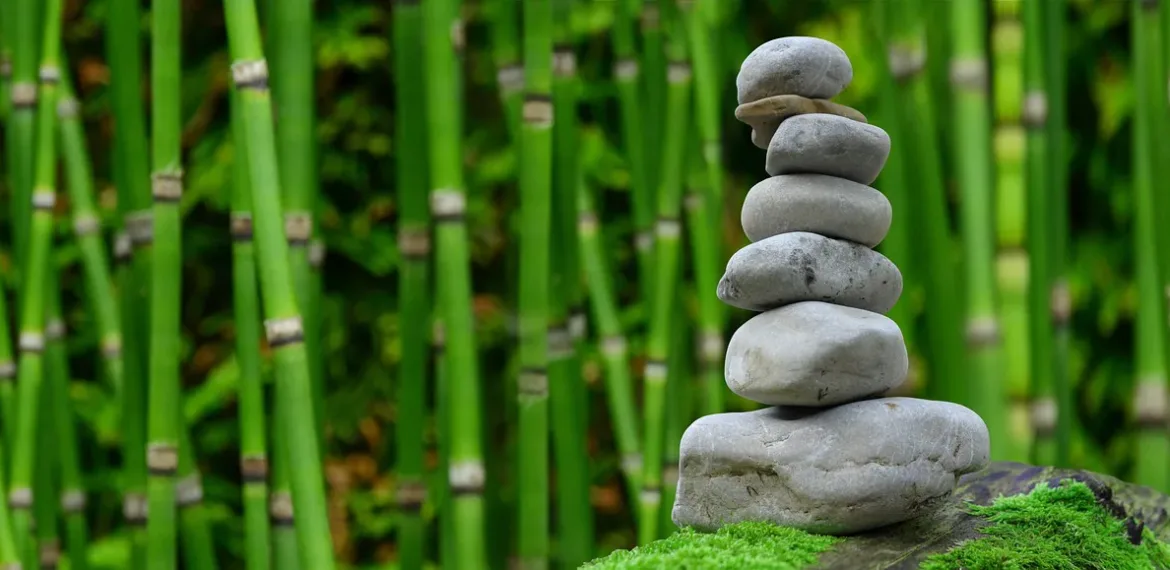 Japan - Tourism and travel highlights