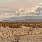 Argentina - Tourism and travel highlights