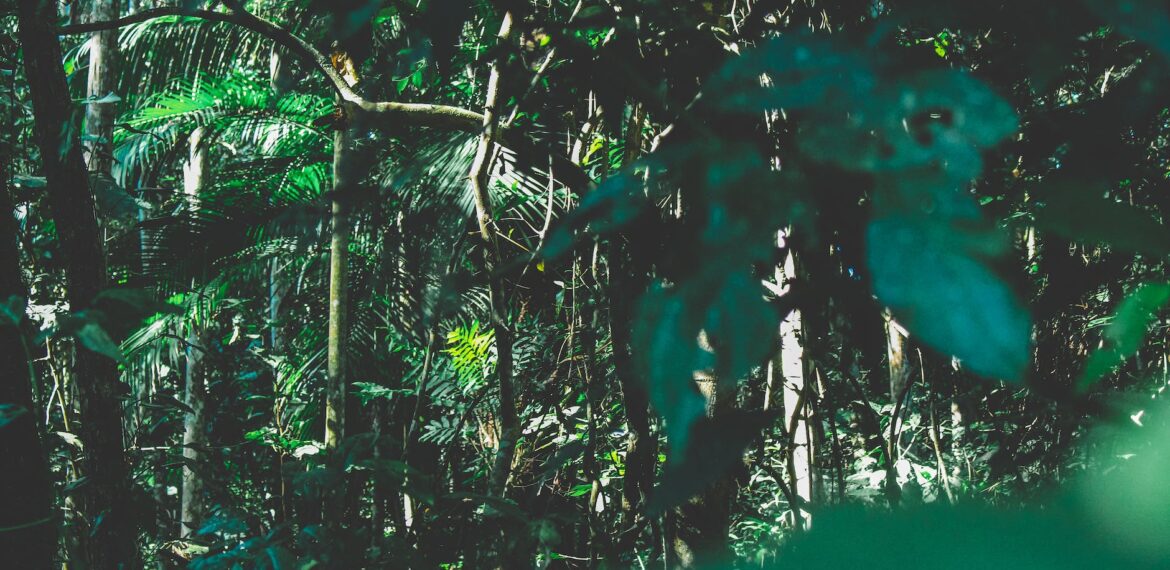 Brazil - Tourism and travel highlights