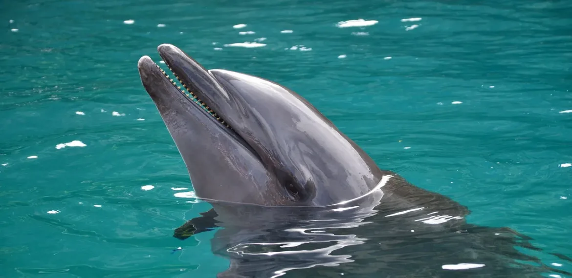 Micronesia - Tourism and travel highlights