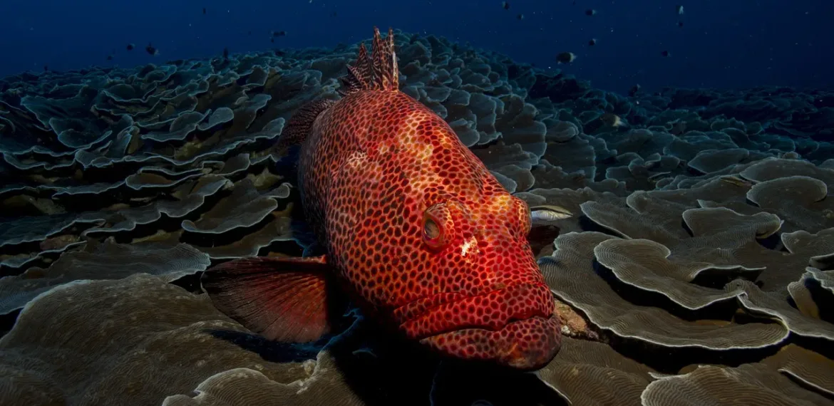 Mozambique - Tourism and travel highlights