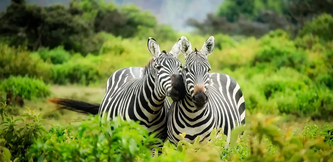 Kenya - Tourism and travel highlights