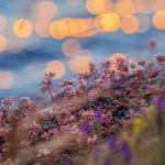 Estonia - Tourism and travel highlights